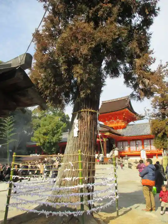 石清水八幡宮の自然