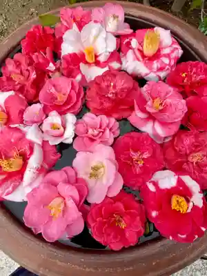 霊鑑寺門跡(京都府)