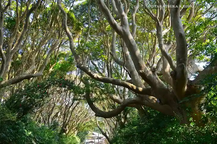 酒列磯前神社(茨城県)