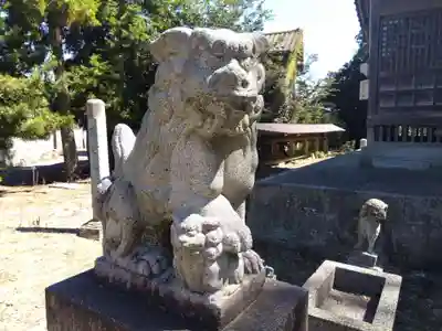 神明神社の狛犬