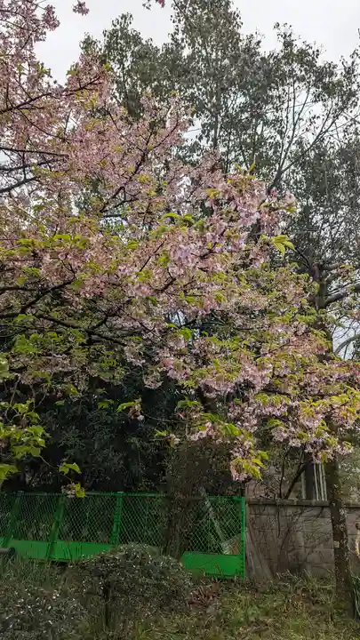 惠心院(京都府)
