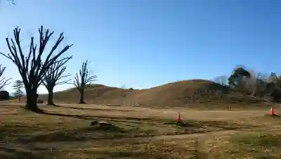 前玉神社の{uncategorized: "未分類", other: "その他", undefined: "問題あり", building: "その他建物", grave: "お墓", sacred_gate: "鳥居", guardian: "狛犬", statue: "像", buddha: "仏像", history: "歴史", nature: "自然", garden: "庭園", animal: "動物", pagoda: "塔", temizu: "手水舎", mountain_gate: "山門・神門", sanctuary: "本殿・本堂", subordinate: "末社・摂社", art: "芸術", scenery: "景色", jizo: "地蔵", ema: "絵馬", goshuin: "御朱印", omikuji: "おみくじ", items: "授与品その他", amulet: "お守り", goshuincho: "御朱印帳", eats: "食事", festival: "お祭り", votive_dance: "神楽", shichigosan: "七五三参", wedding: "結婚式", experience: "体験その他", initially: "初詣", around: "周辺", anti_infection: "感染症対策"}