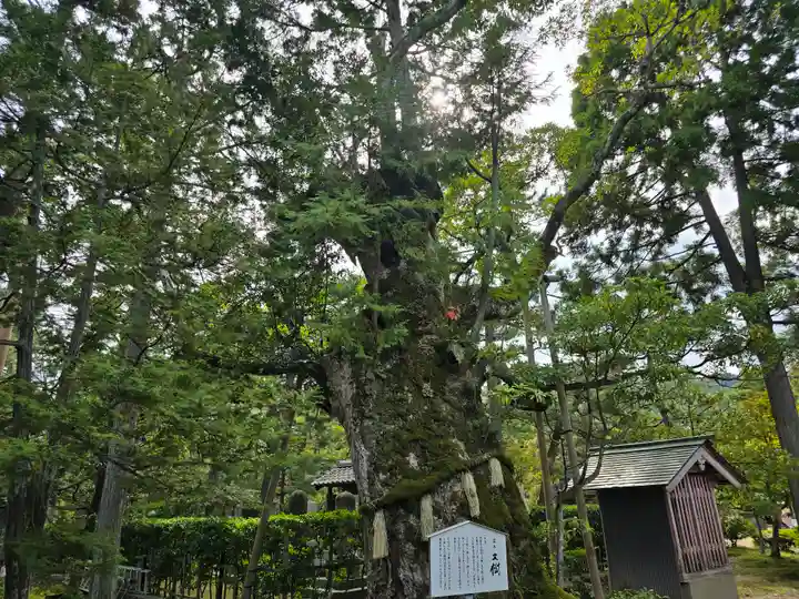 智恩寺(京都府)