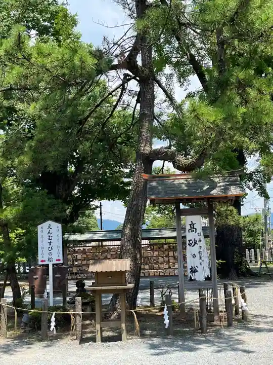 阿蘇神社(熊本県)