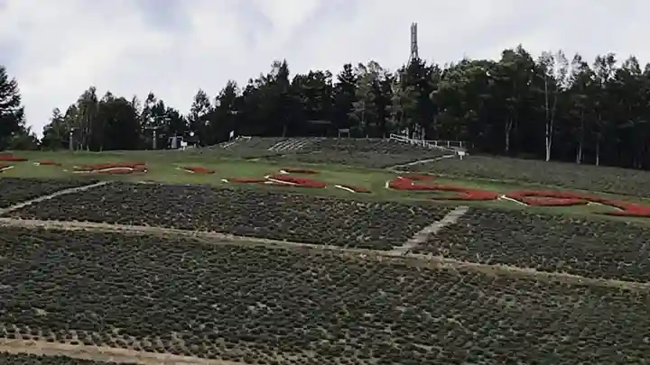 中富良野神社の周辺