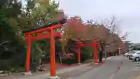 竹中稲荷神社(吉田神社末社)の鳥居