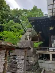 大宮八幡宮の狛犬