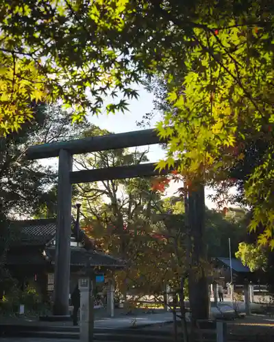 滋賀県護国神社(滋賀県)