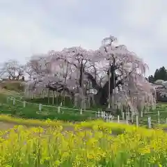 豊景神社の自然