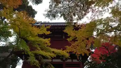 本土寺のその他建物