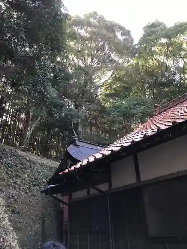 八幡宮の本殿・本堂