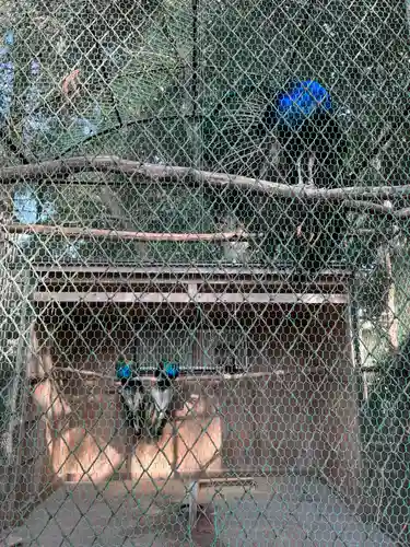 岩槻久伊豆神社(埼玉県)