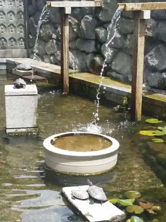 福祥寺(須磨寺)の庭園