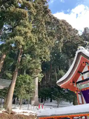 御形神社(兵庫県)