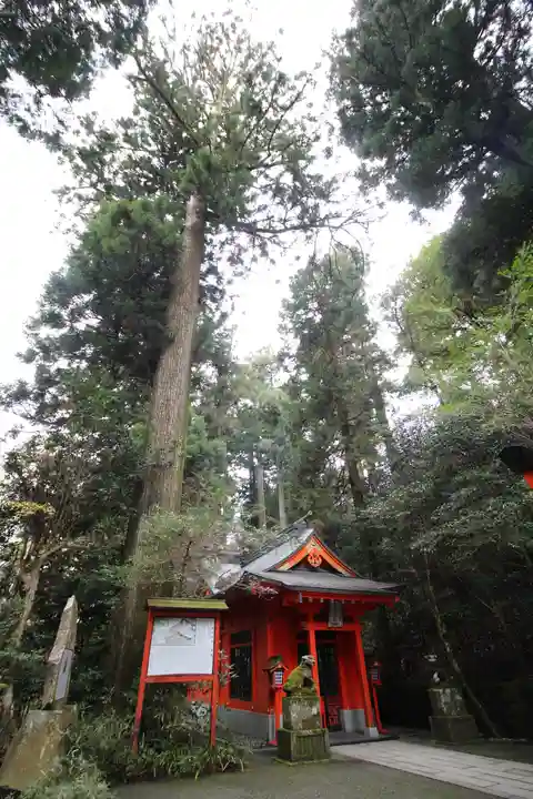 箱根神社(神奈川県)