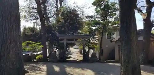 明治神社の鳥居