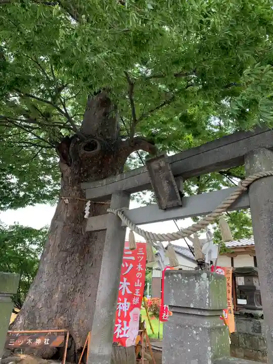 三ツ木神社の鳥居