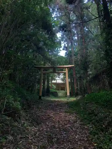 安房大杉神社の鳥居