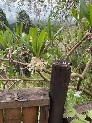日龍峯寺(高澤観音)(美濃清水)(岐阜県)