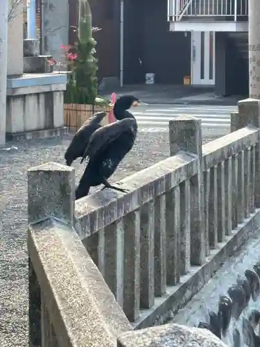 川原神社(愛知県)