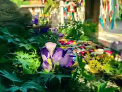 滑川神社 - 仕事と子どもの守り神の手水