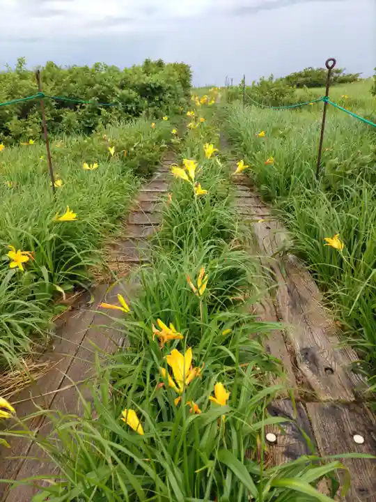 御田原神社の自然