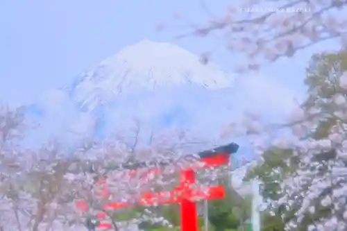 富士山本宮浅間大社(静岡県)