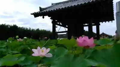 薬師寺のその他建物