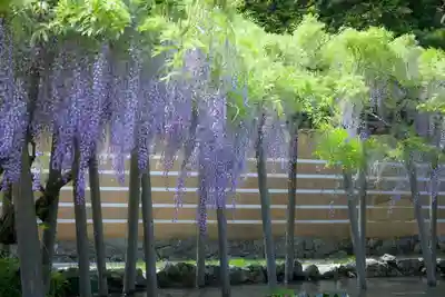 出雲大社(島根県)