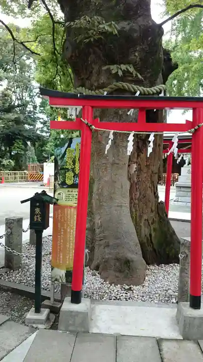 新田神社の鳥居