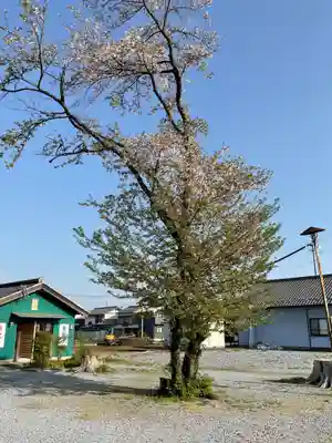 乙津寺　（鏡島弘法）(岐阜県)