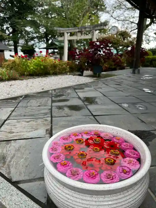 立志神社(滋賀県)