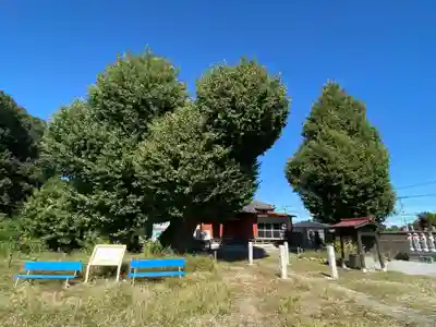 真名板薬師堂(埼玉県)