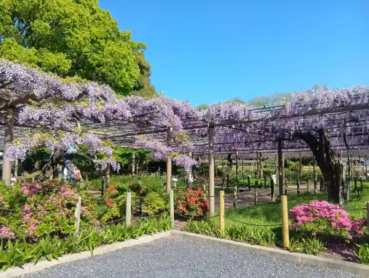 曼陀羅寺(愛知県)