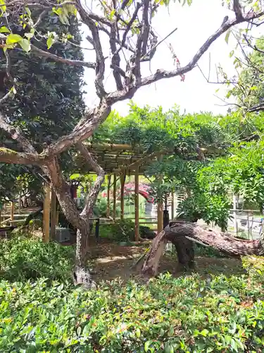 亀戸天神社(東京都)
