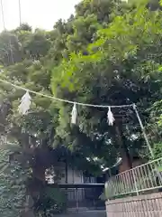 日吉神社(神奈川県)