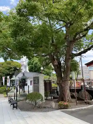 水戸東照宮(茨城県)