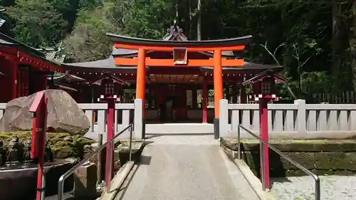 箱根神社の鳥居