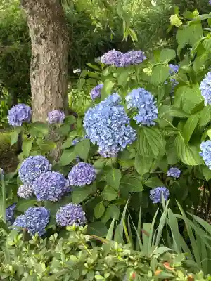 願成寺(福島県)