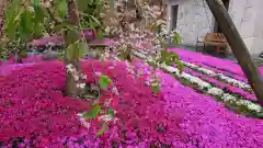 寿量山　速成寺の庭園