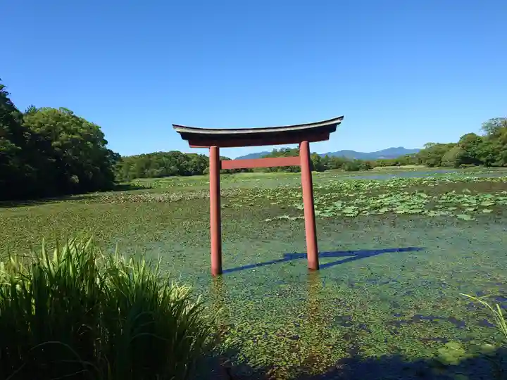 薦神社(大分県)