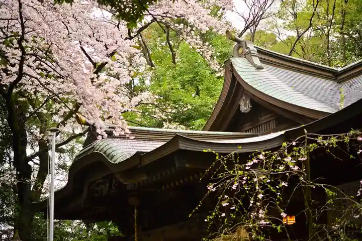 座間神社(神奈川県)