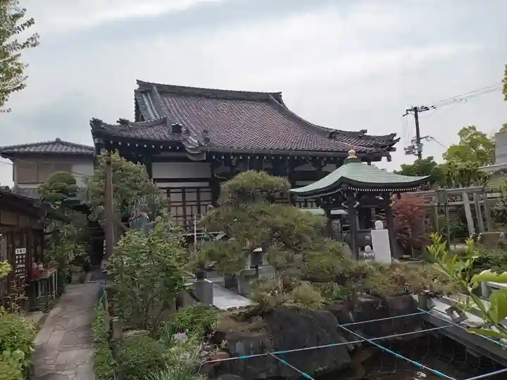 興徳寺の本殿・本堂
