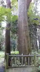 海士部神社の建物その他