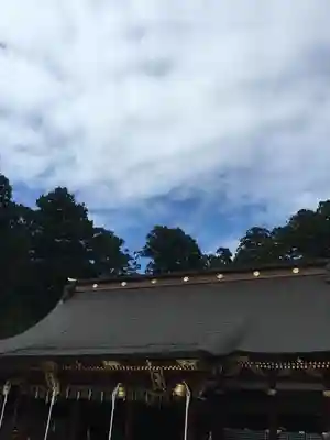 志波彦神社・鹽竈神社の本殿・本堂