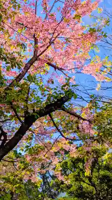 登渡神社の自然