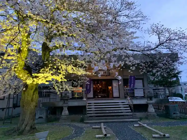 妙経寺の本殿・本堂