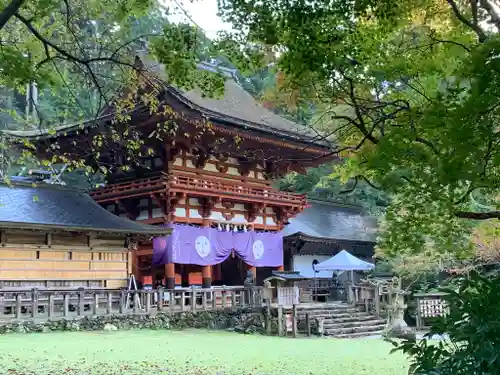 丹生都比売神社の本殿