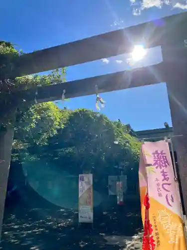 國領神社の鳥居