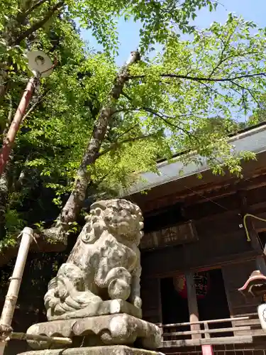 河口浅間神社の狛犬